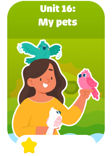 Unit 16: My pets