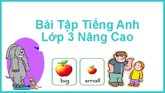 Bài tập tiếng Anh lớp 3 nâng cao