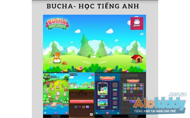 Bucha Học Tiếng Anh